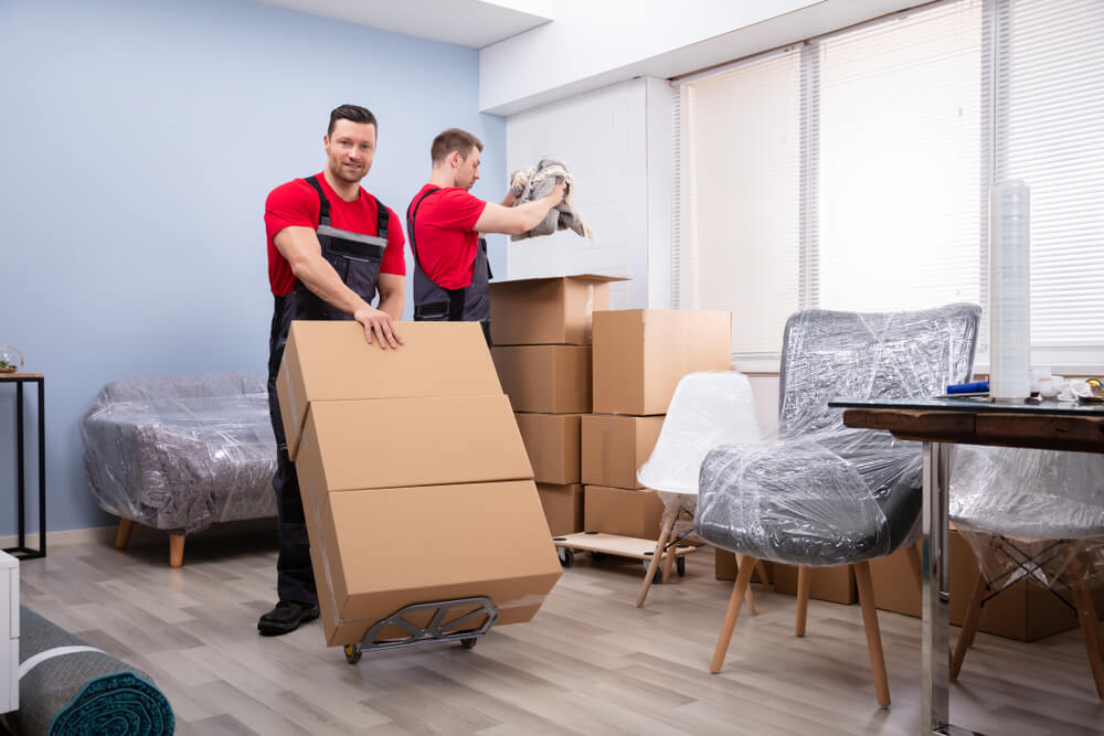 Local Movers Terra Ceia