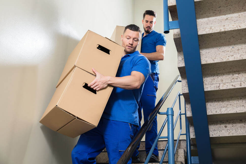 Stress-free Moving Experience